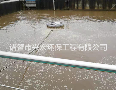 立式環(huán)流攪拌機-諸暨市興宏環(huán)保工程有限公司